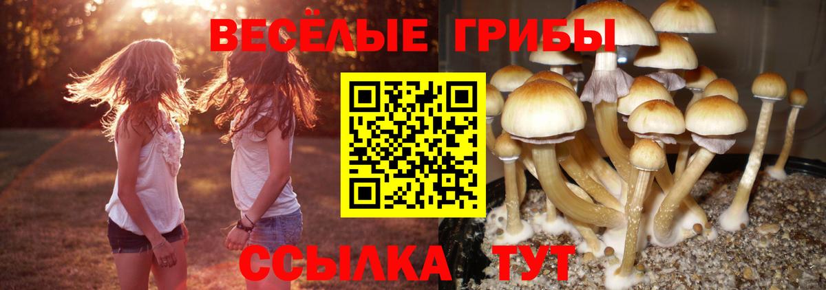 Псилоцибиновые грибы MAGIC MUSHROOMS  Вход с VPN  Псилоцибиновые грибы мухоморы  Азнакаево 