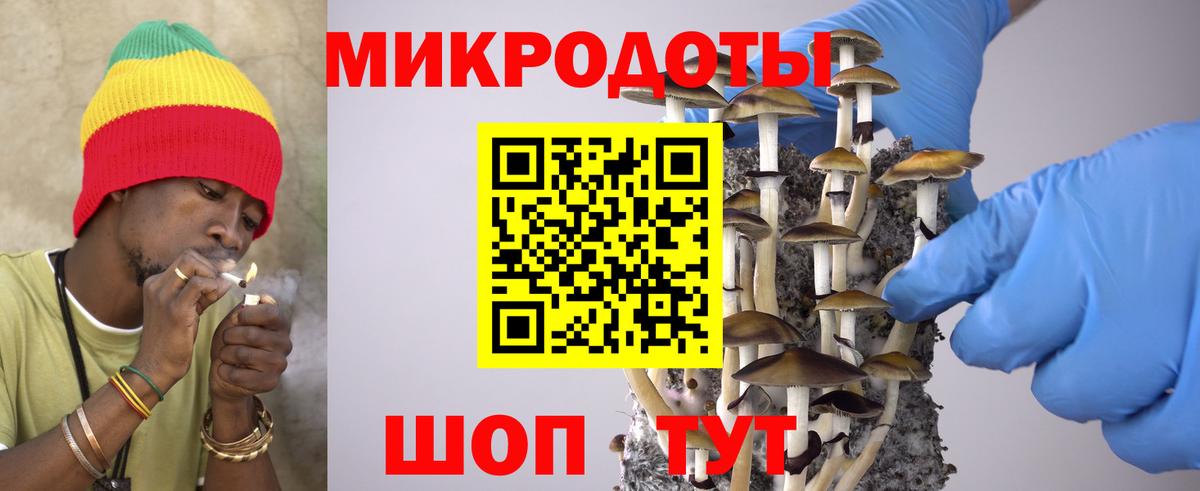 Псилоцибиновые грибы мицелий Азнакаево